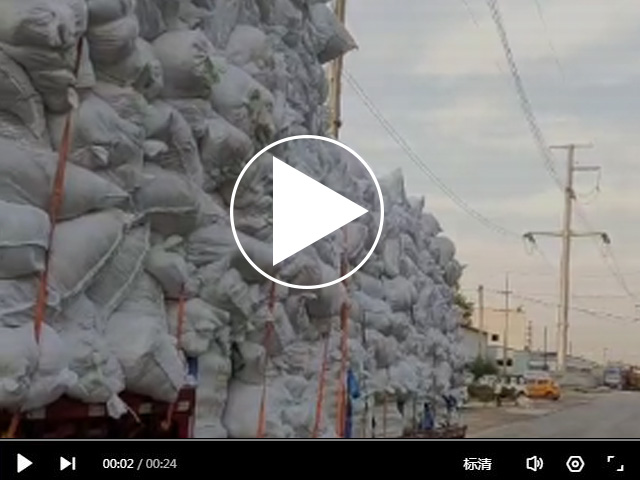 ������Ƶ